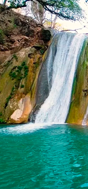 Desarrollo Sierra del Venado Tapalpa