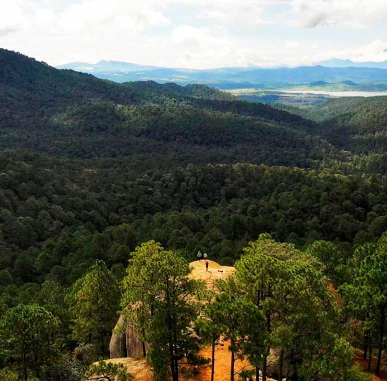 Desarrollo Sierra del Venado tapalpa